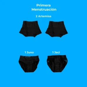 panties mesntruales, flujo alto